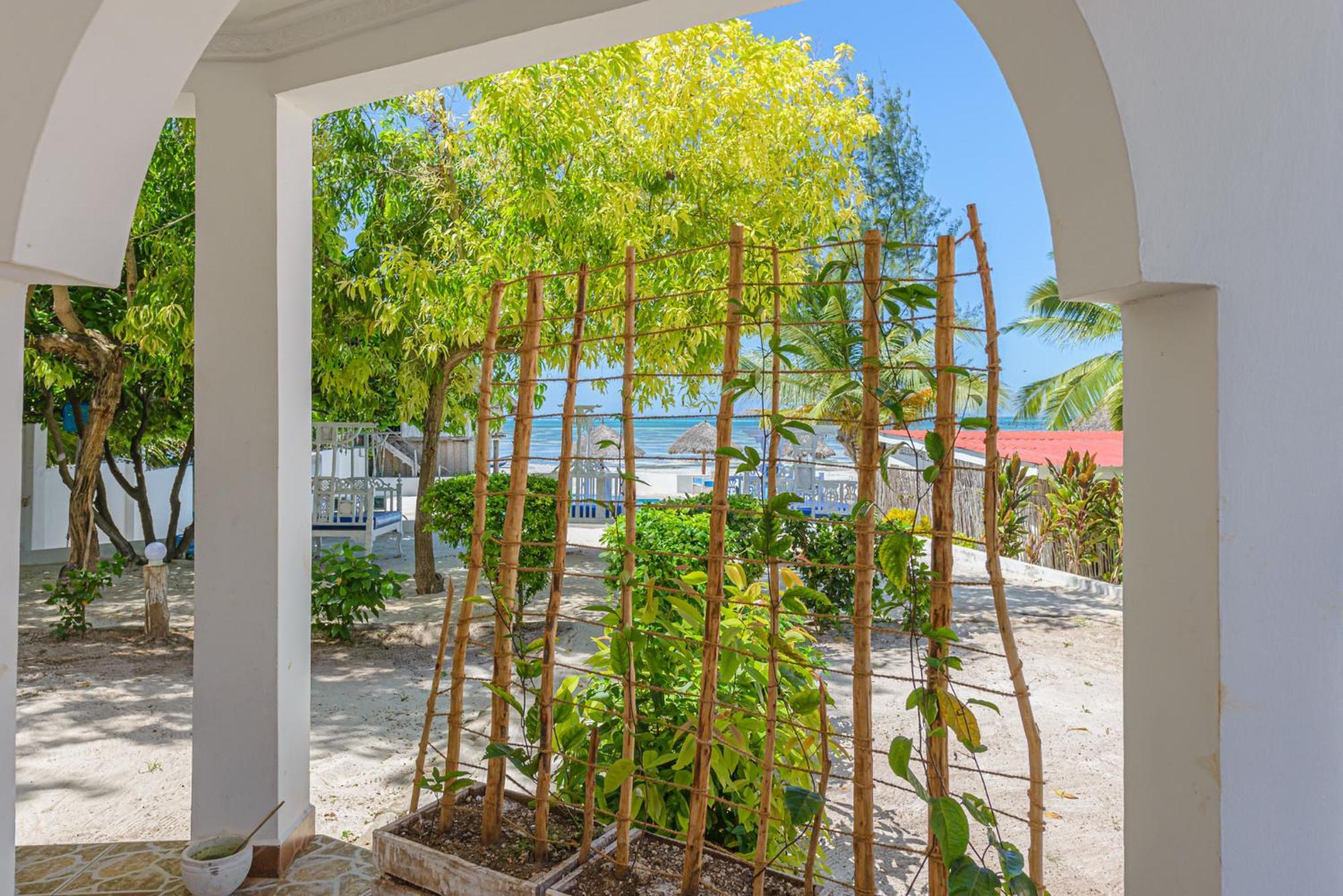 Marea Boutique Hotel Jambiani  Εξωτερικό φωτογραφία